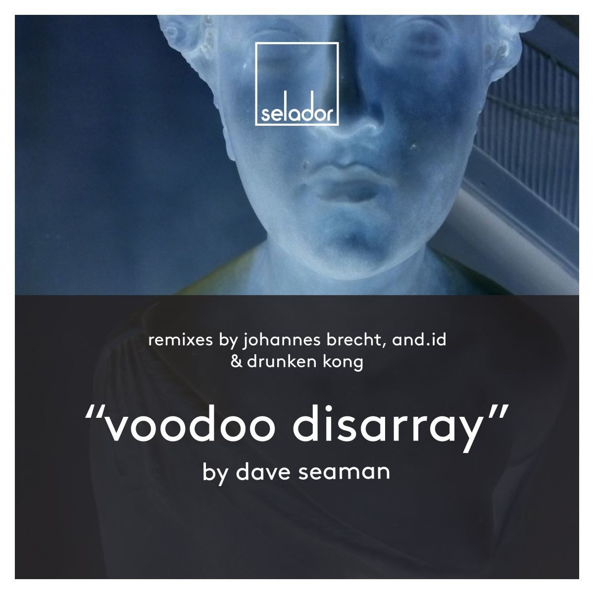 Album cover of Voodoo Disarray