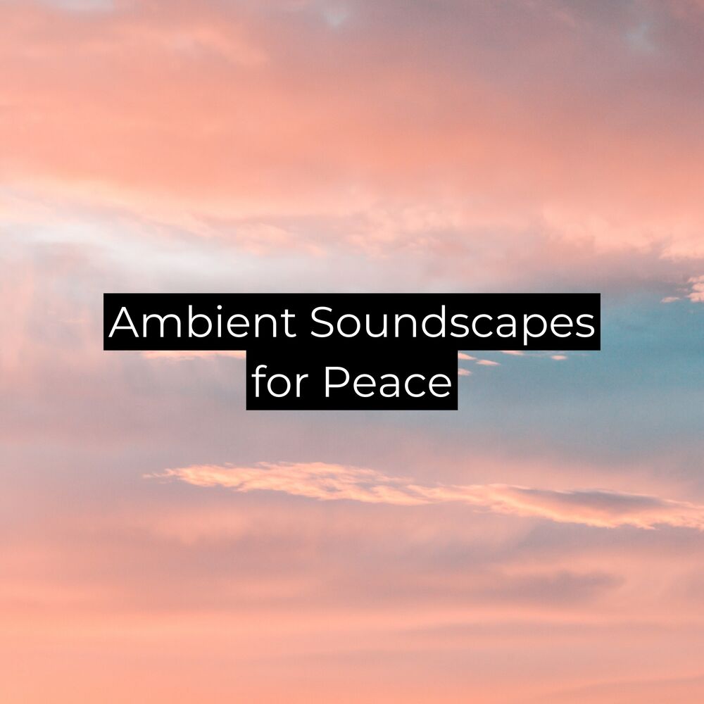 Picture of Ambient Soundscapes for Peace