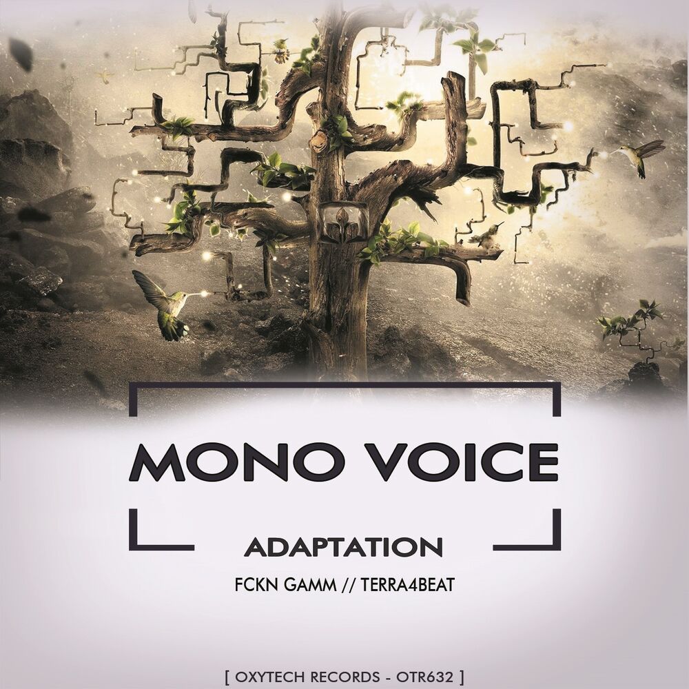 Picture of Adaptation