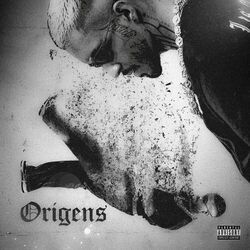 Cover of Origens