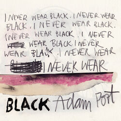 Cover of I Never Wear Black
