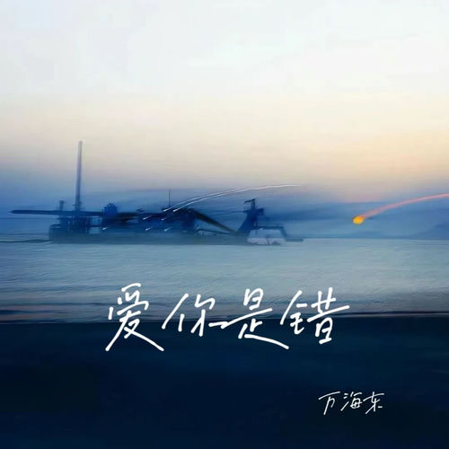 爱你是错 (该遗憾的不是我)