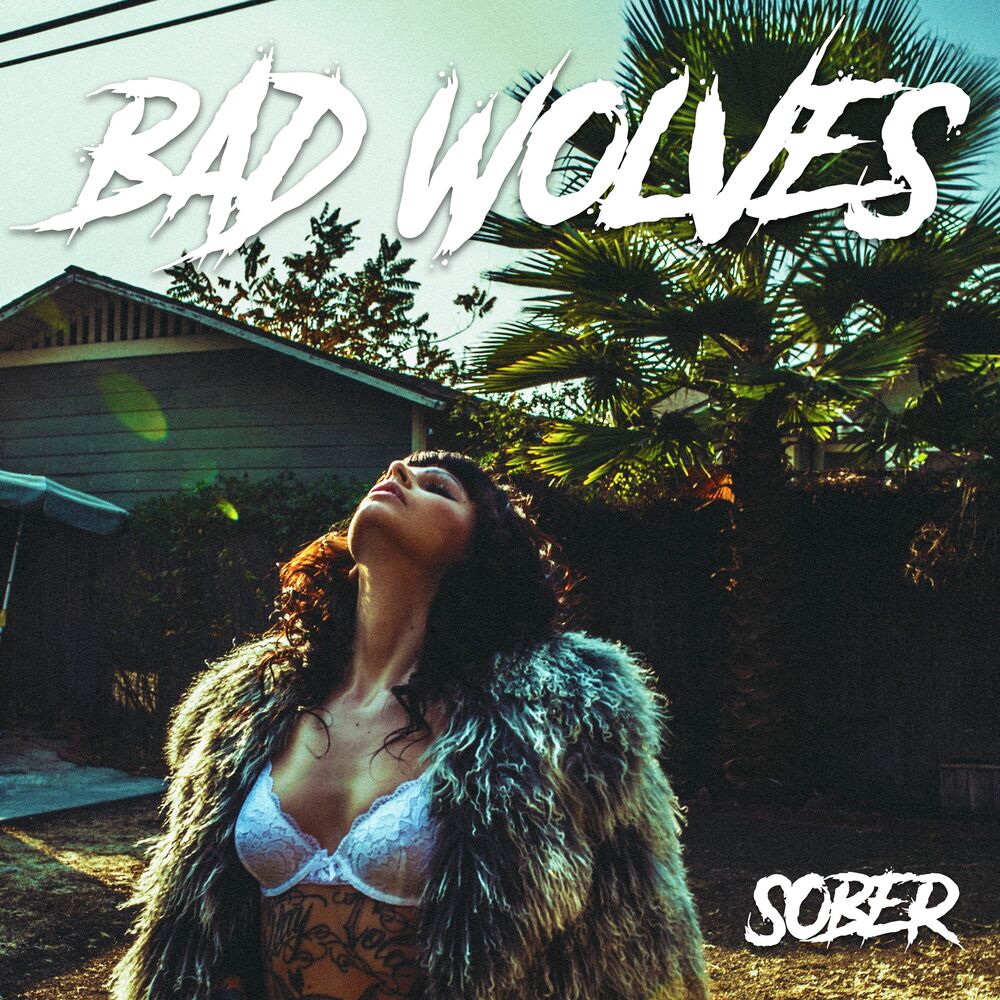 Picture of Sober