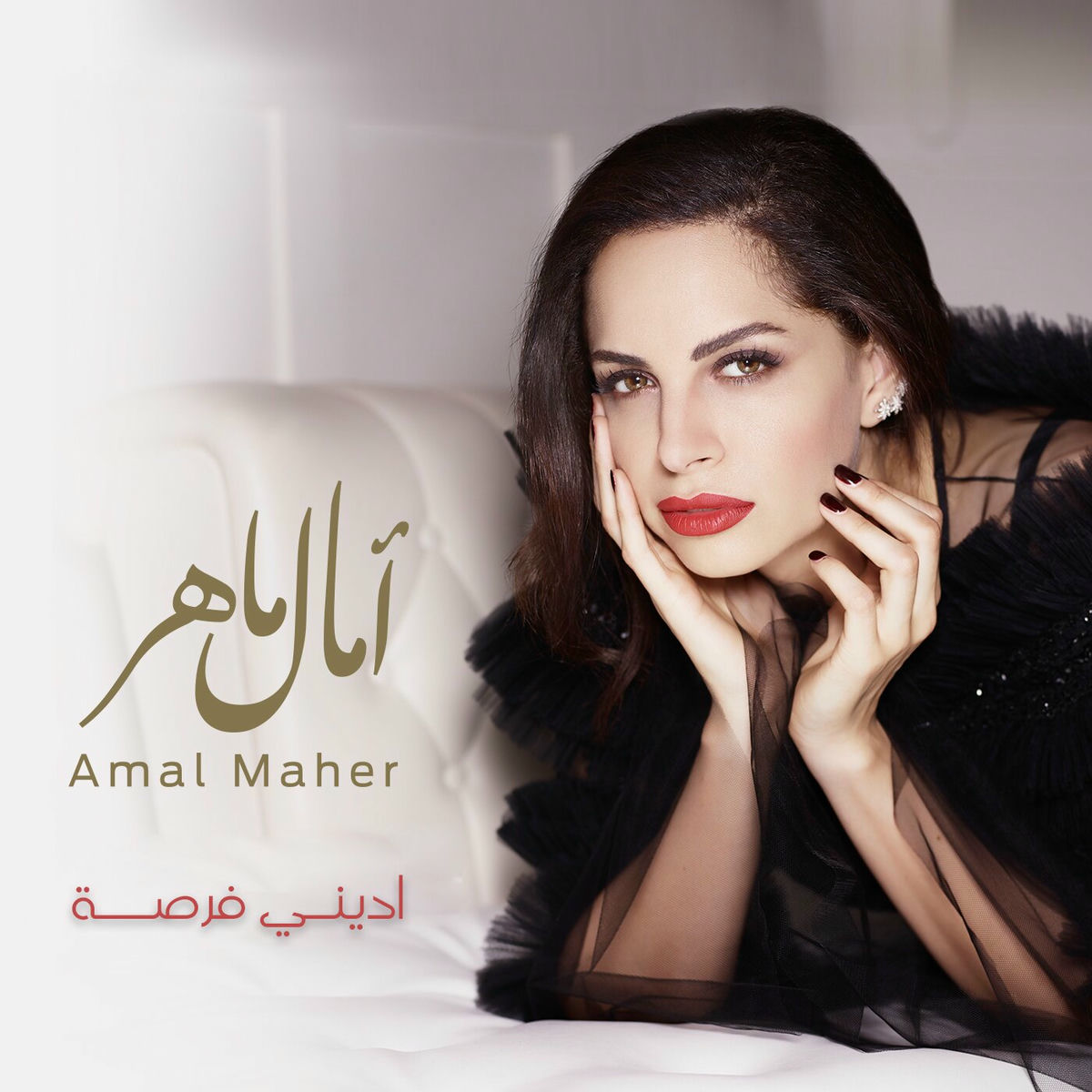 Album cover of اديني فرصة