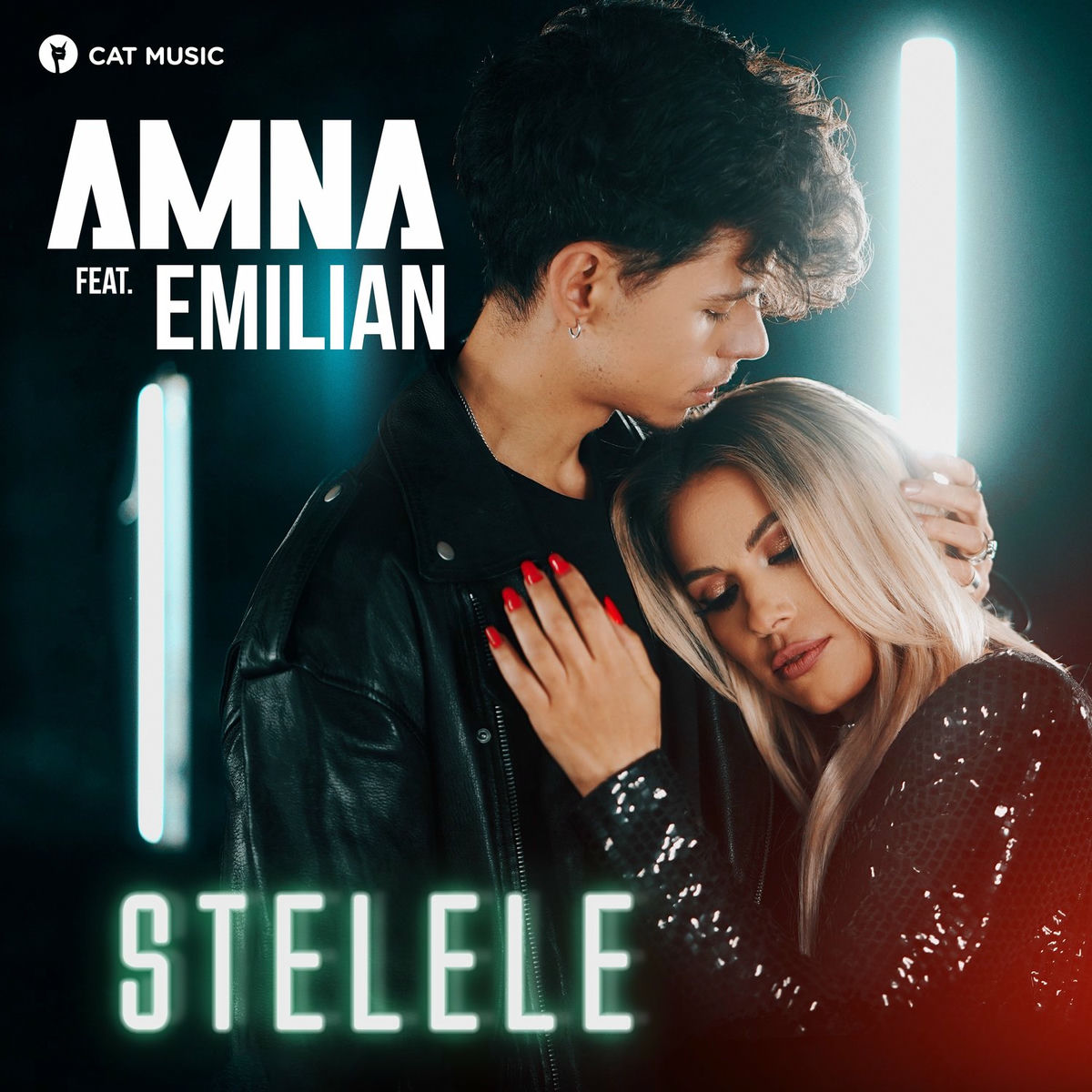 Album cover of Stelele