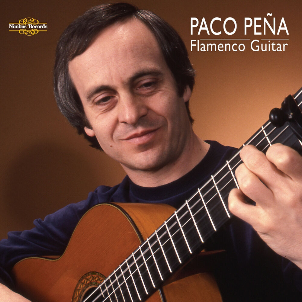 Picture of Flamenco Guitar