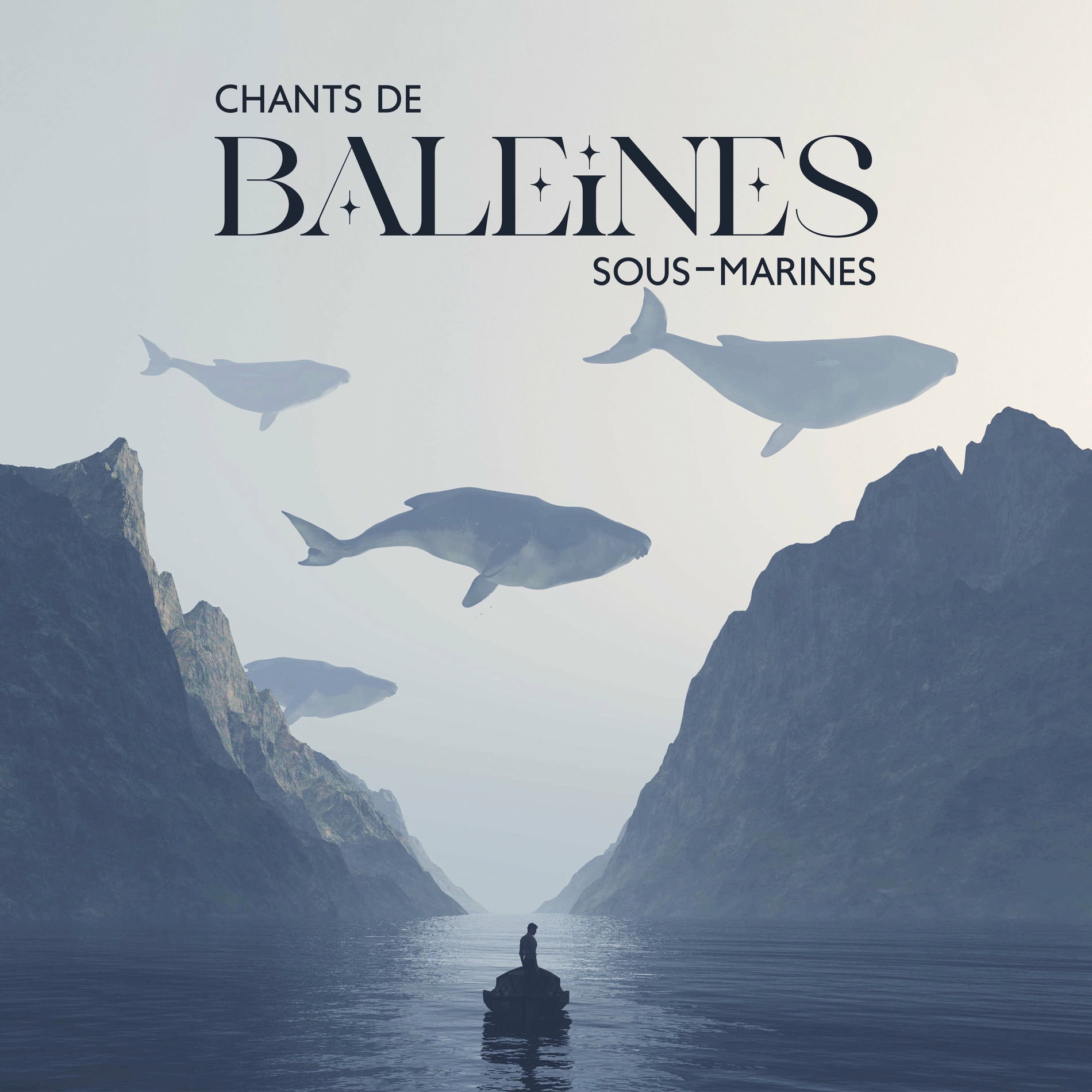Album cover of Chants de baleines sous-marines: Sons de baleine pour bien dormir, Sons extrêmement apaisants pour dormir