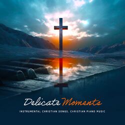Cover of Delicate Moments
