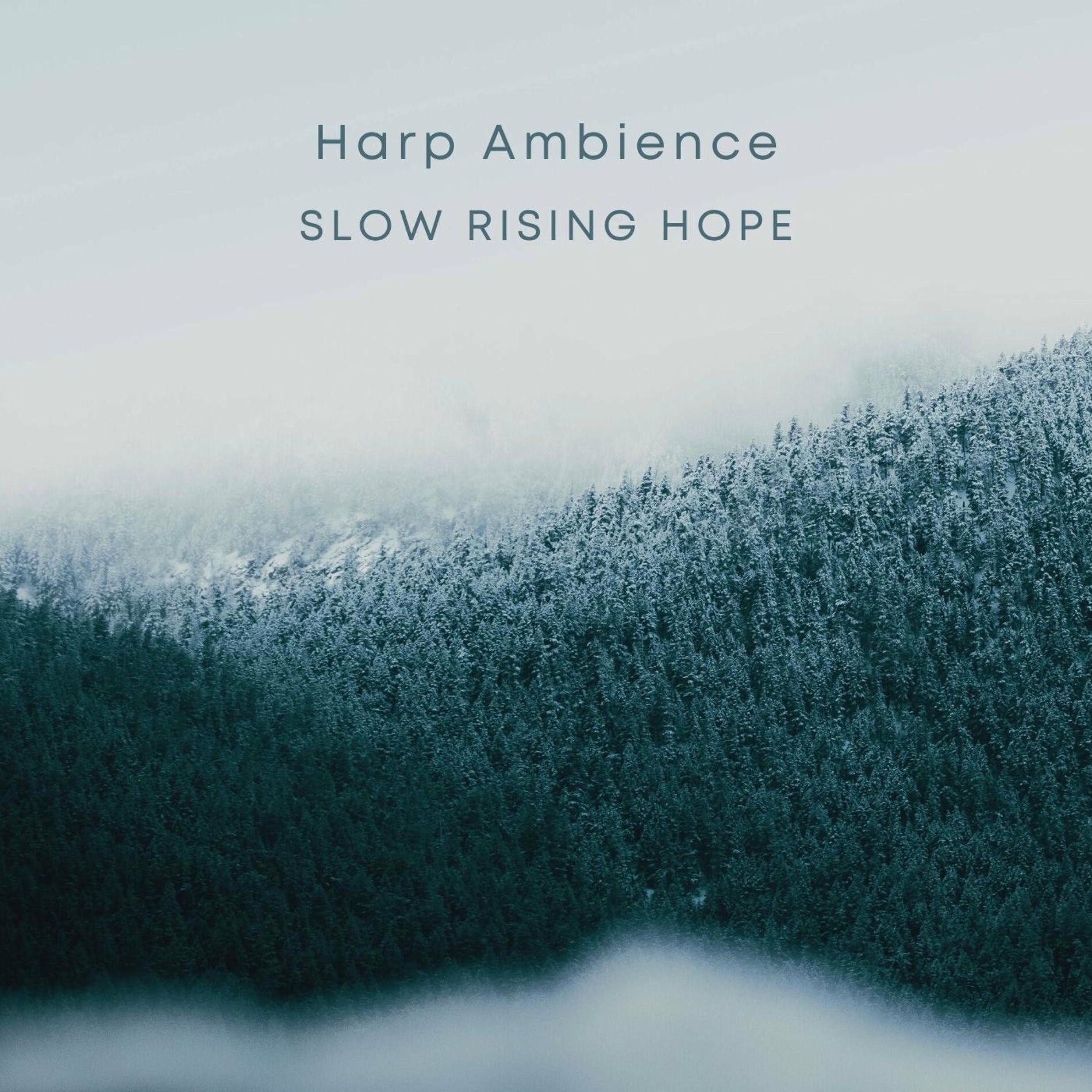 Album cover of Harp Ambience