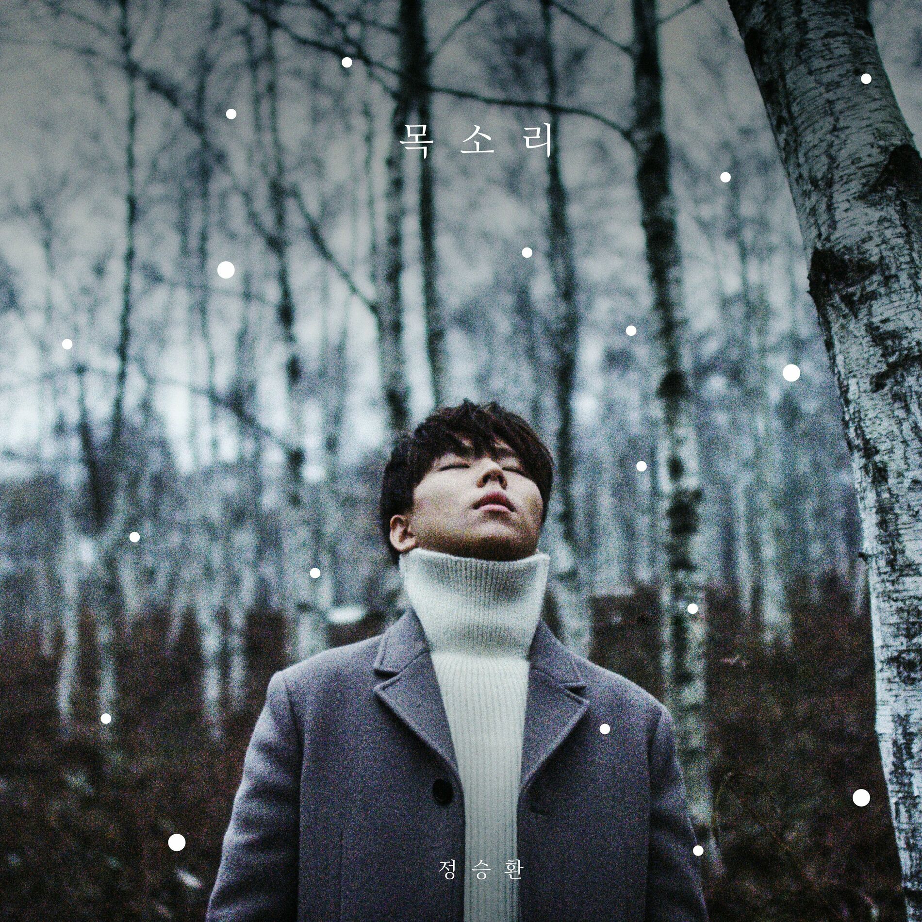 Album cover of His voice