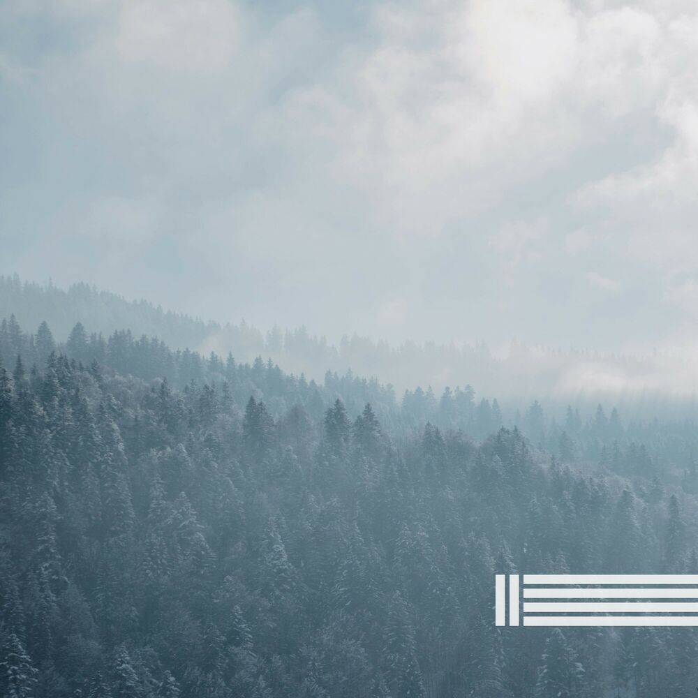 Picture of Forest Sounds, Birds Sounds