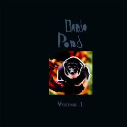 Cover of Bardo Pond, Vol. 1
