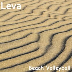 Cover of Beach Volleyball