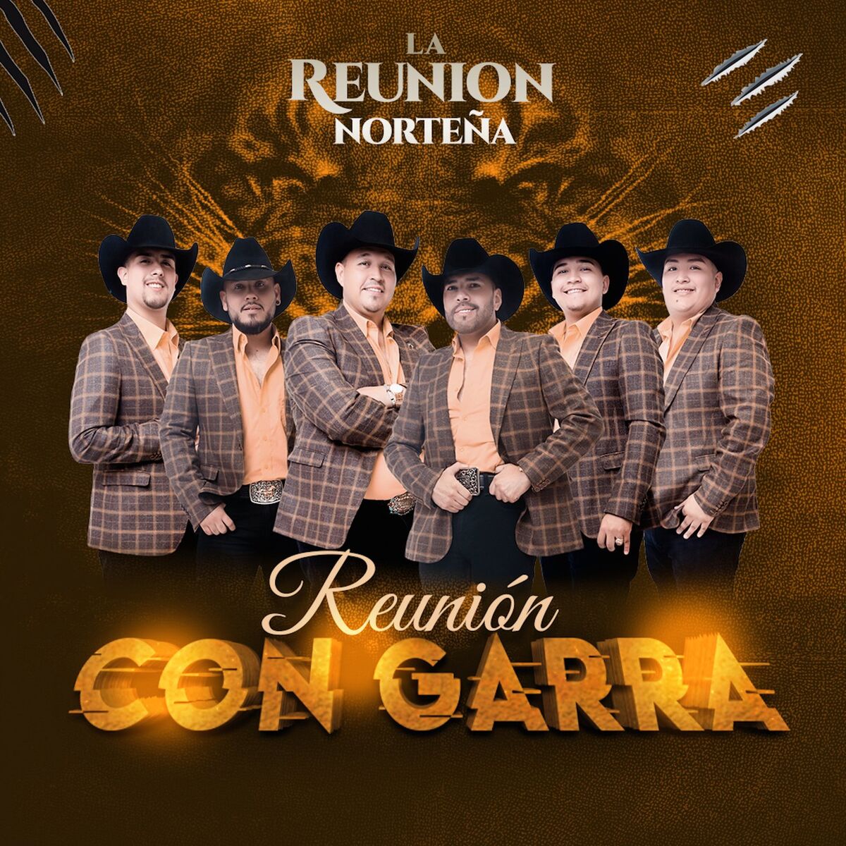 Album cover of Golpes en el Corazón