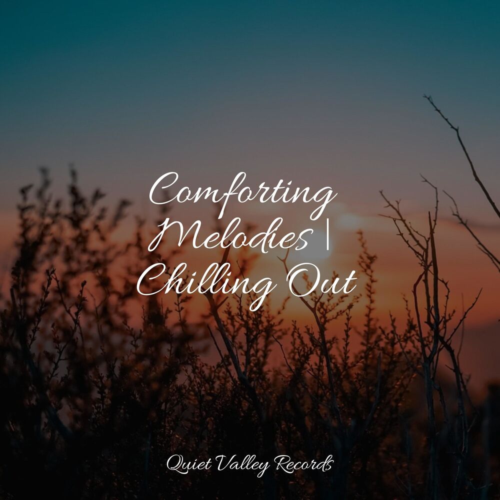 Picture of Comforting Melodies | Chilling Out
