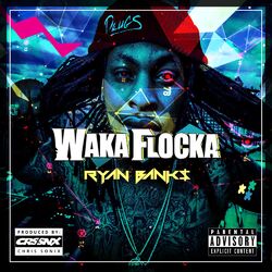 Cover of Waka Flocka