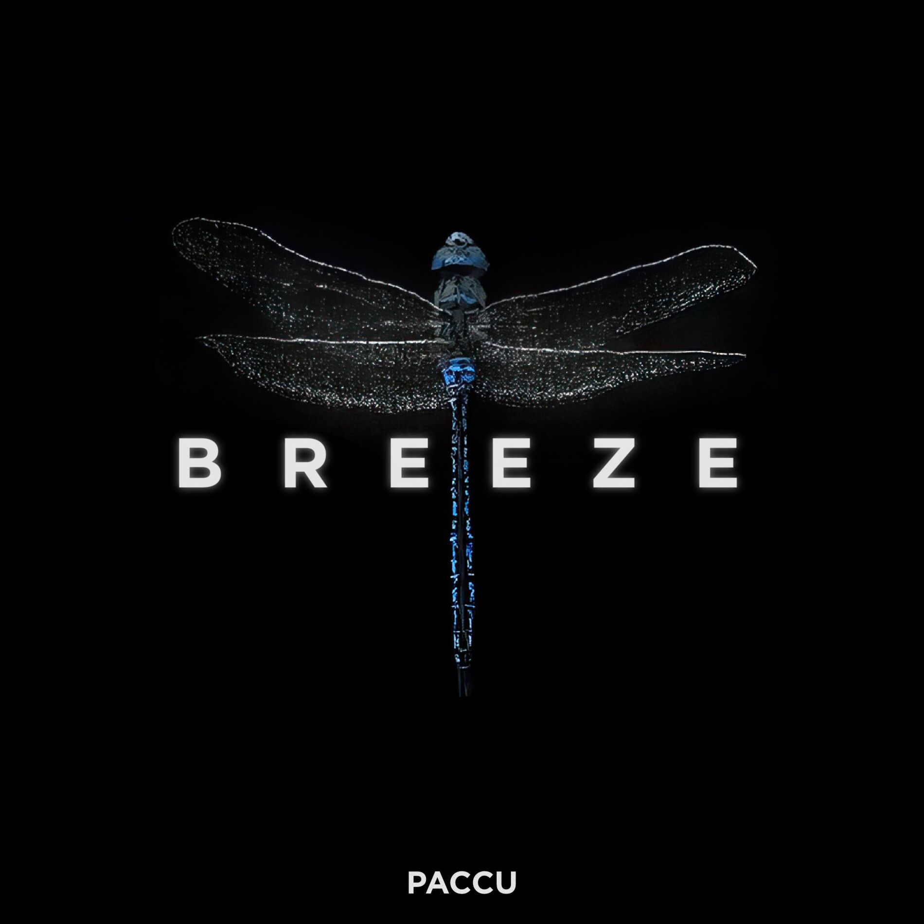 Album cover of Breeze
