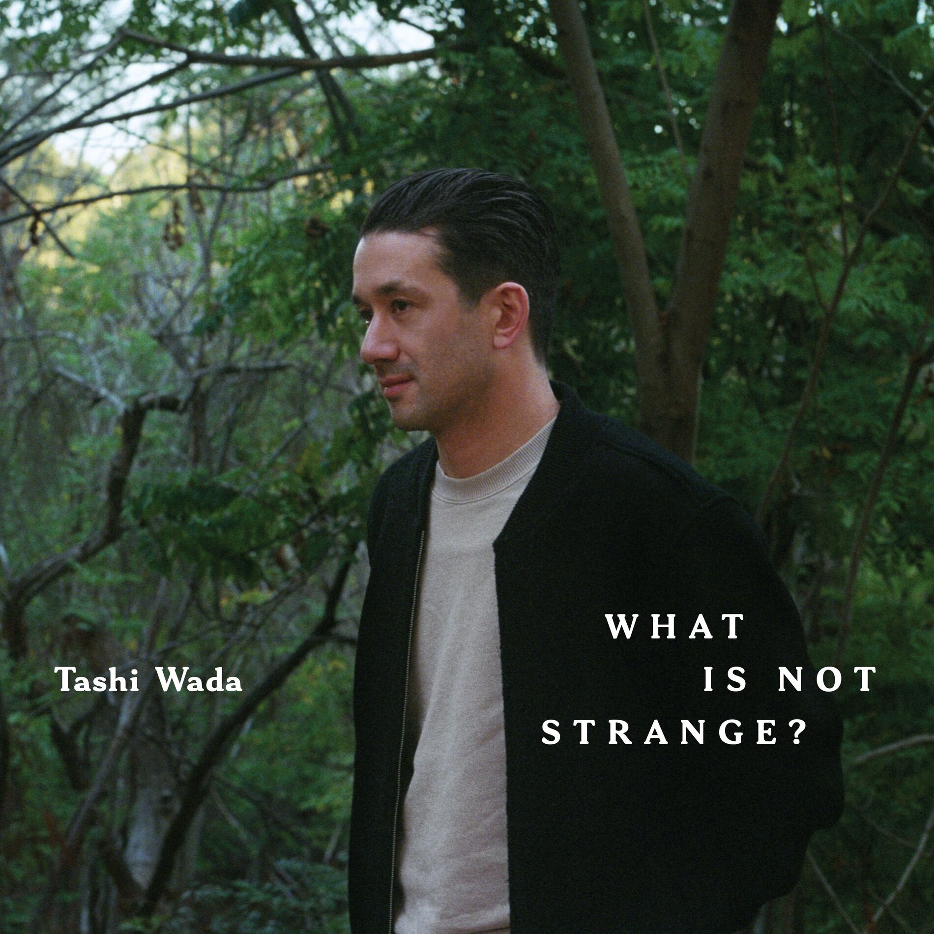 Album cover of What Is Not Strange?