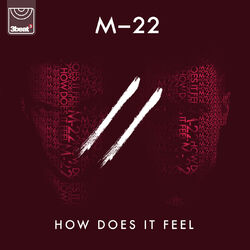 Cover of How Does It Feel