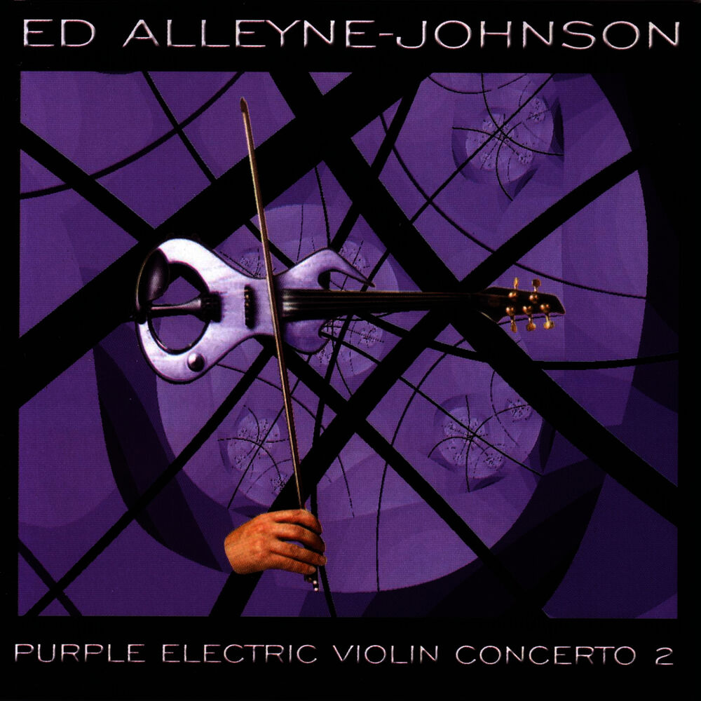 Picture of Purple Electric Violin Concerto 2