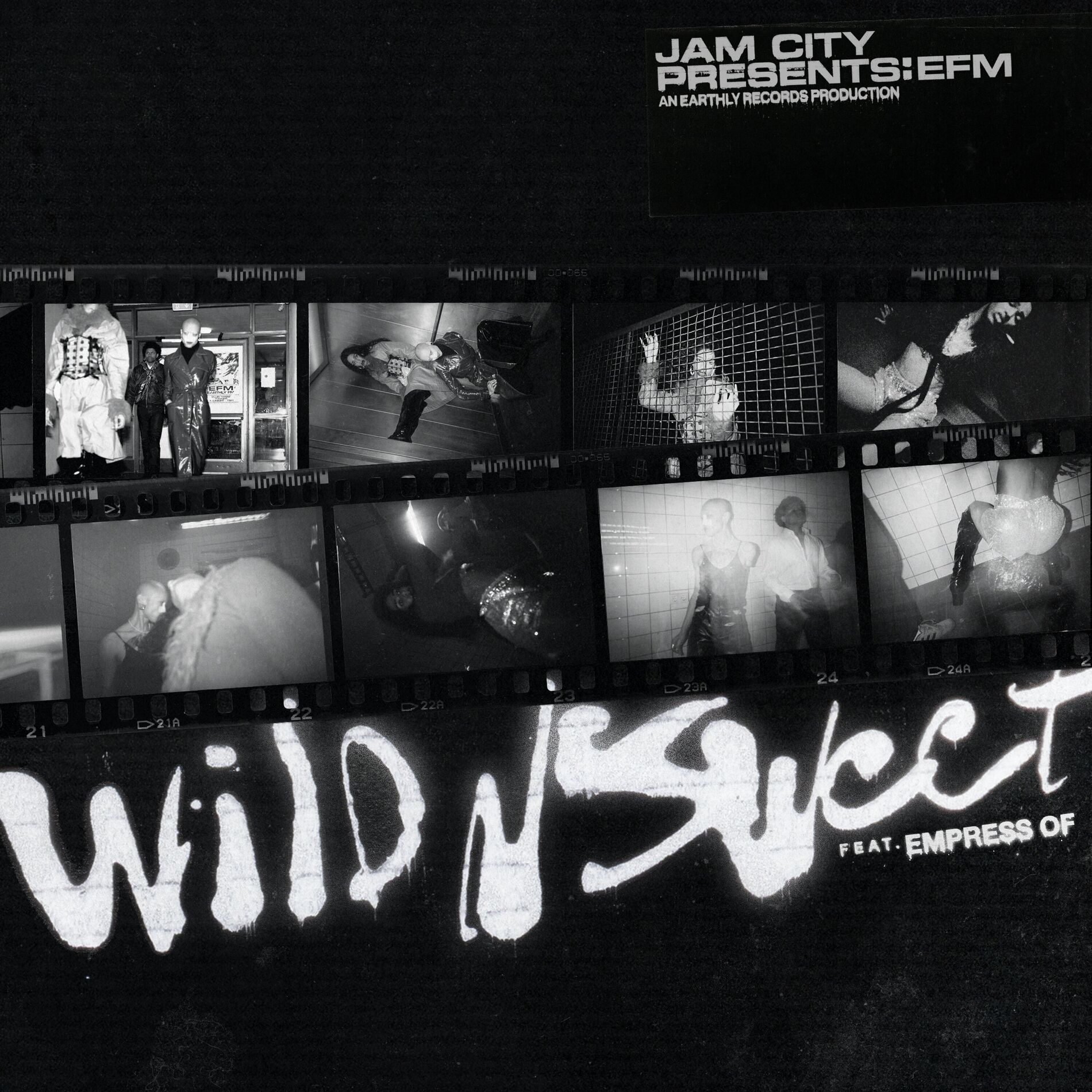 Album cover of Wild n Sweet