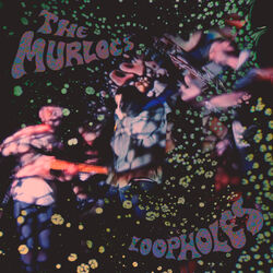 Cover of Loopholes