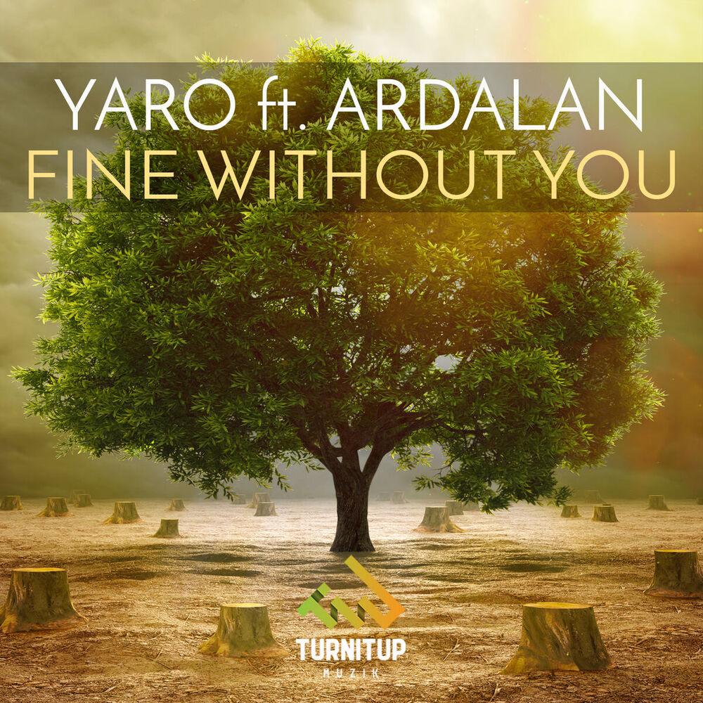 Picture of Fine Without You