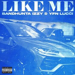 Cover of Like Me