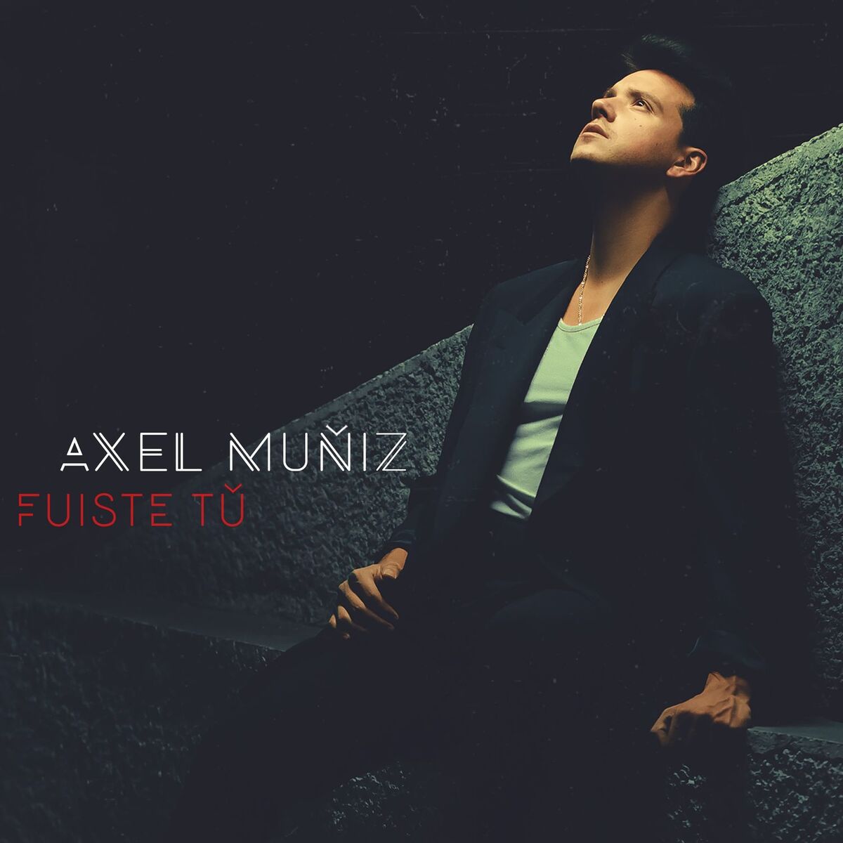Album cover of Fuiste Tú