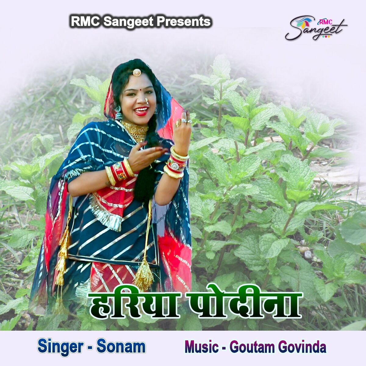 Sonam Hariya Podina lyrics and songs Deezer