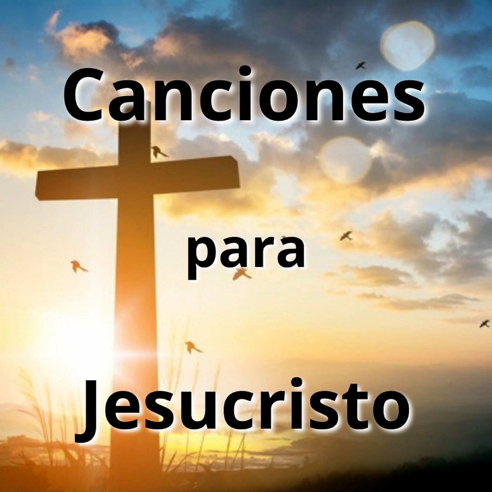 Album cover of Canciones para Jesucristo