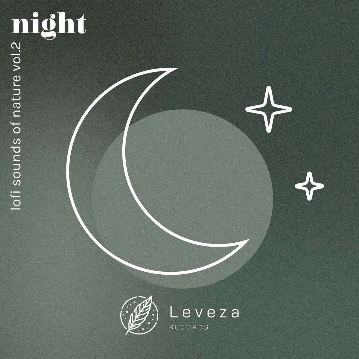 Album cover of Lofi Sounds of Nature: Night, Vol. 2