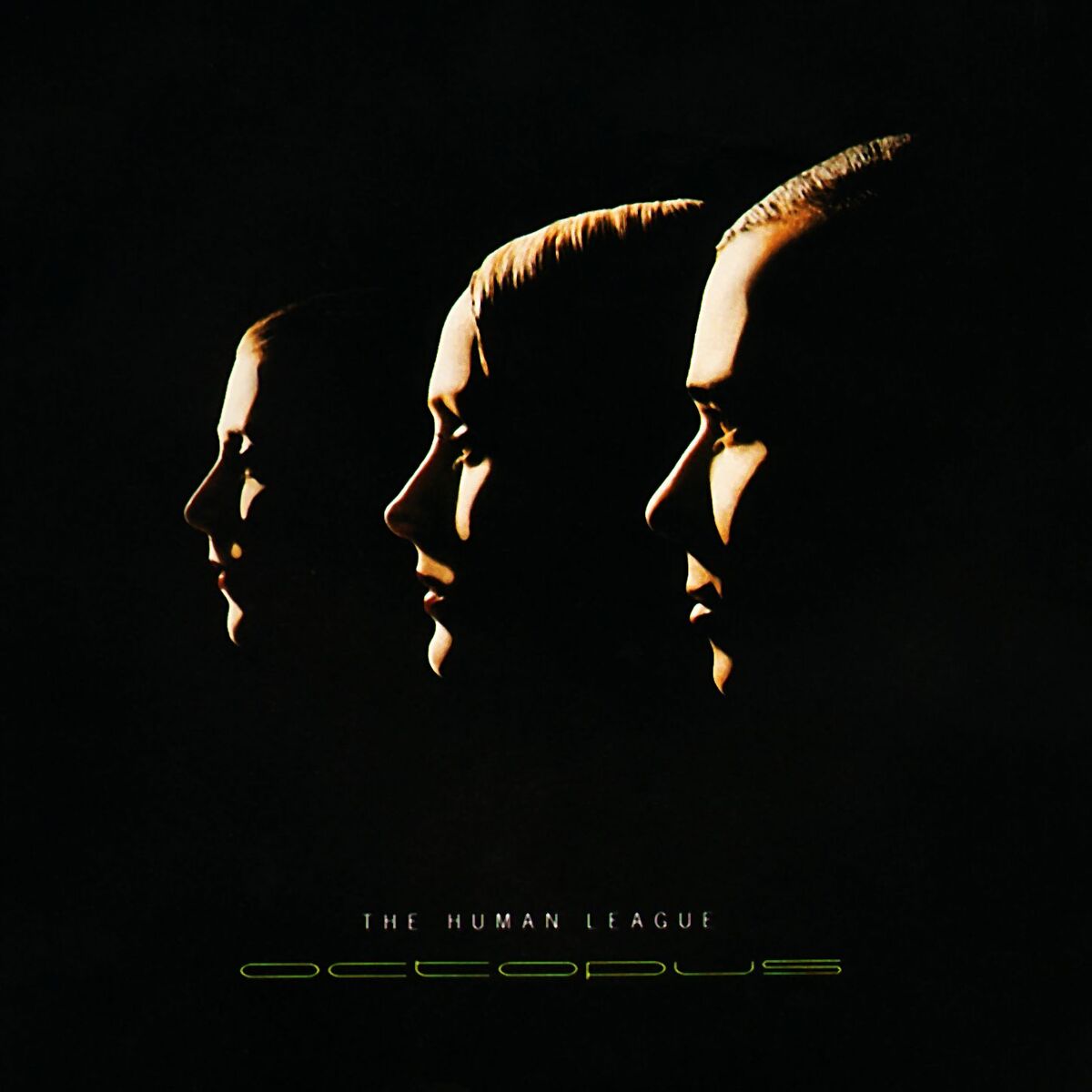 Album cover of Octopus
