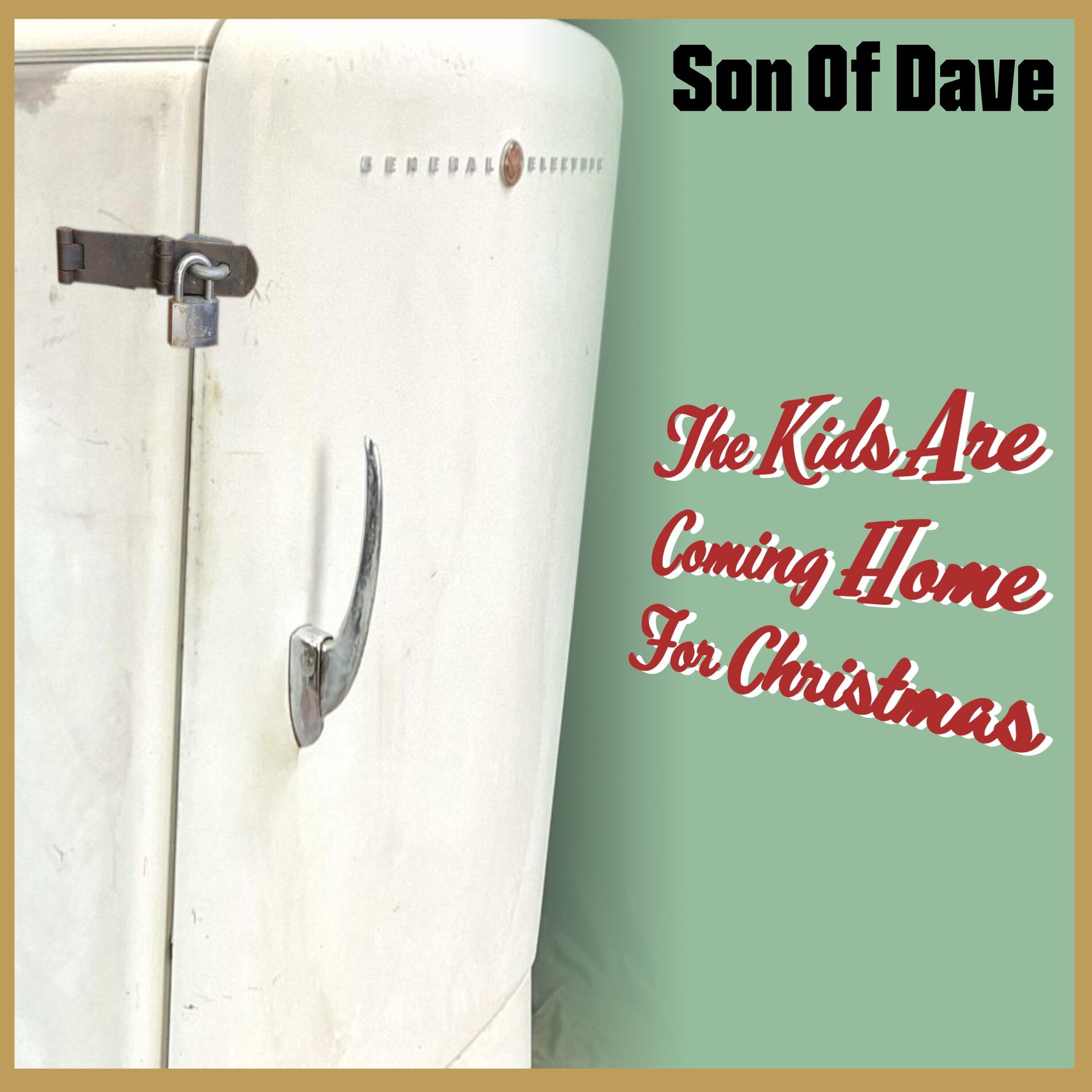 Album cover of The Kids Are Coming Home For Christmas