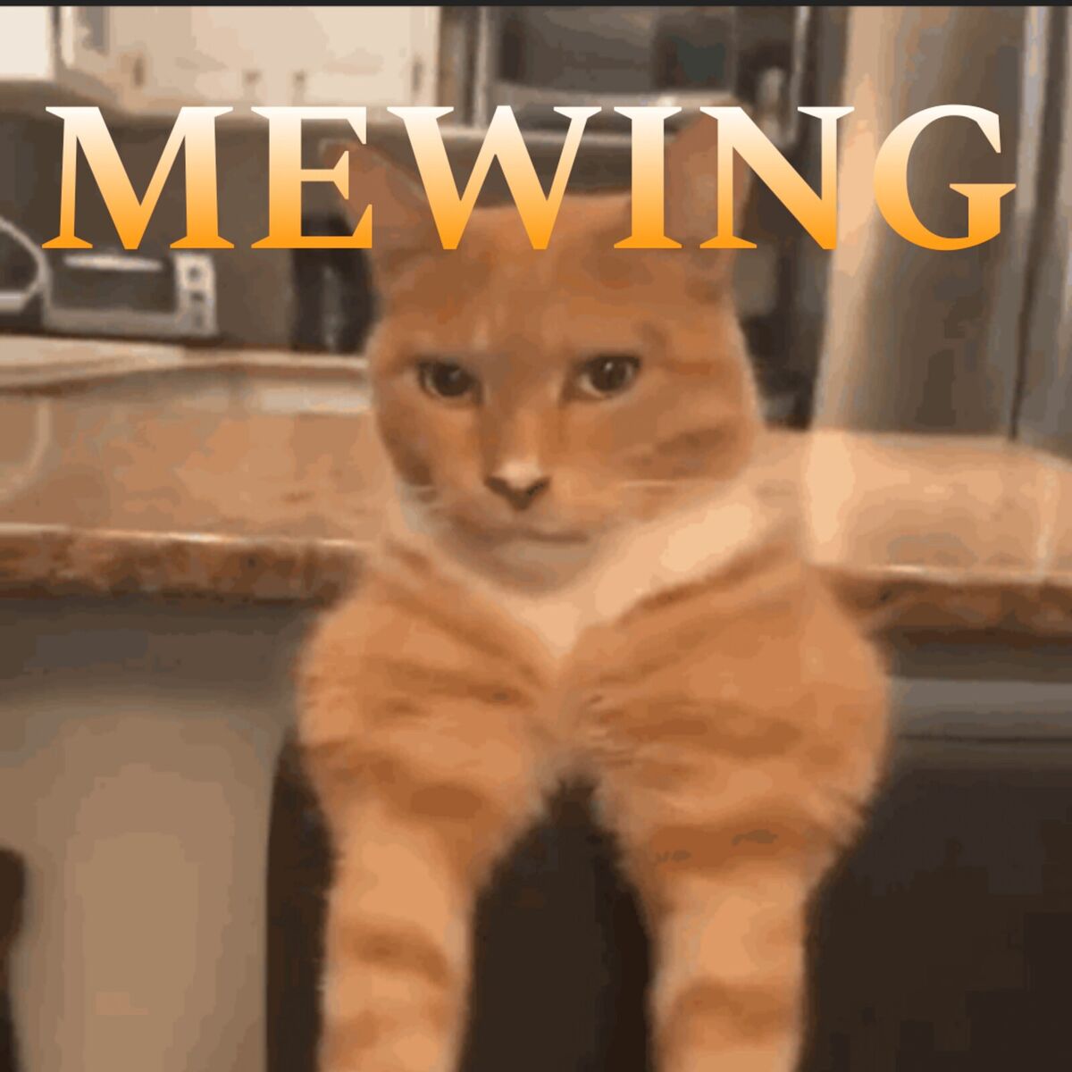 Album cover of Mewing