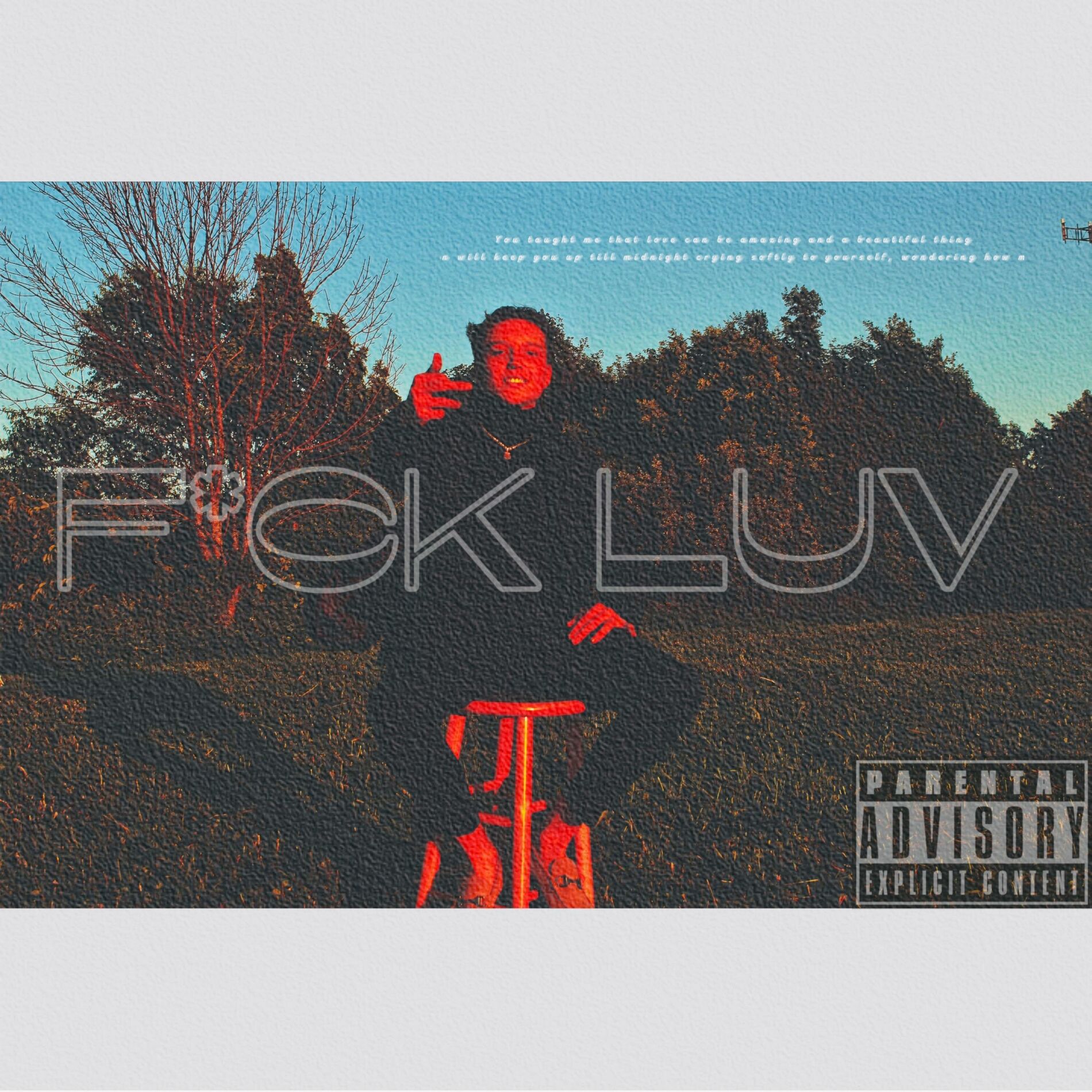 Album cover of FUCK LUV