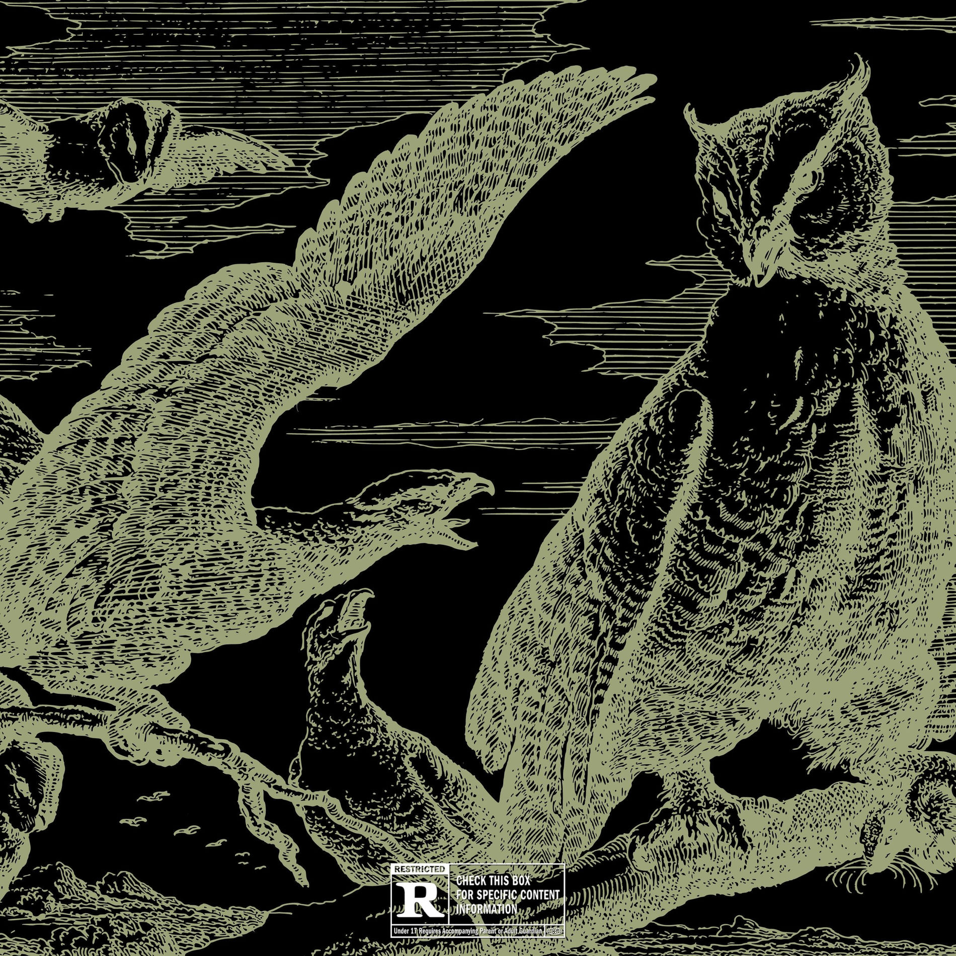 Album cover of AQUILA