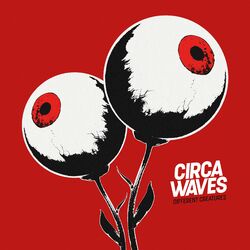 Cover of Different Creatures