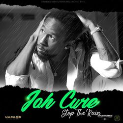 Cover of Stop the Rain