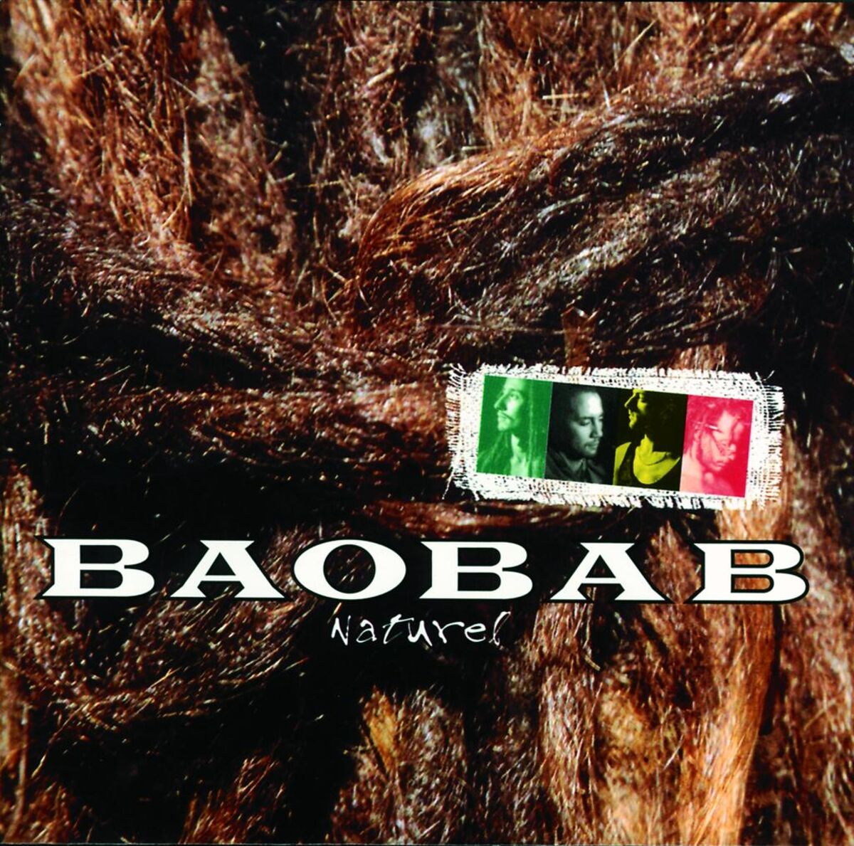 Album cover of Rootsikal