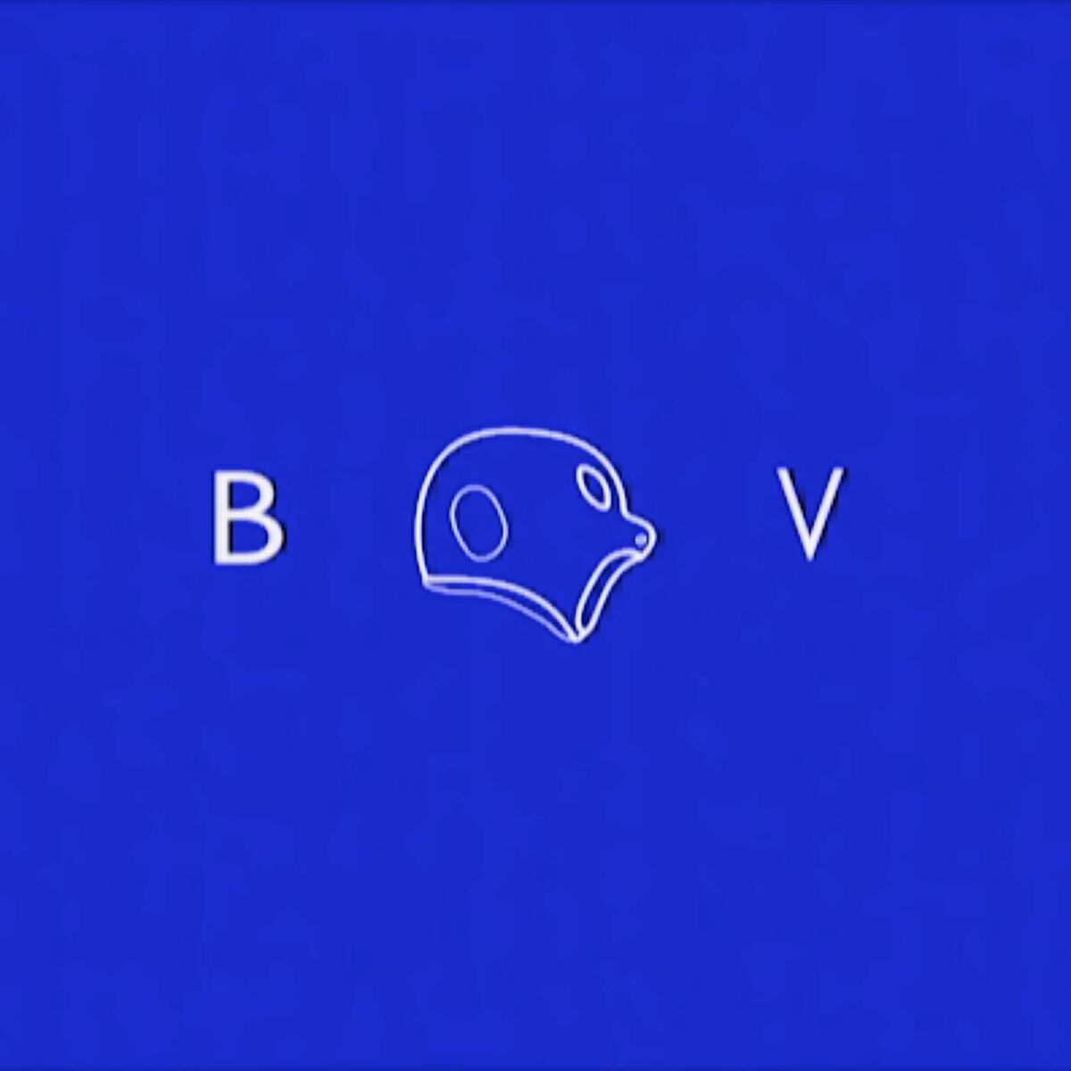 Album cover of BVTV 1