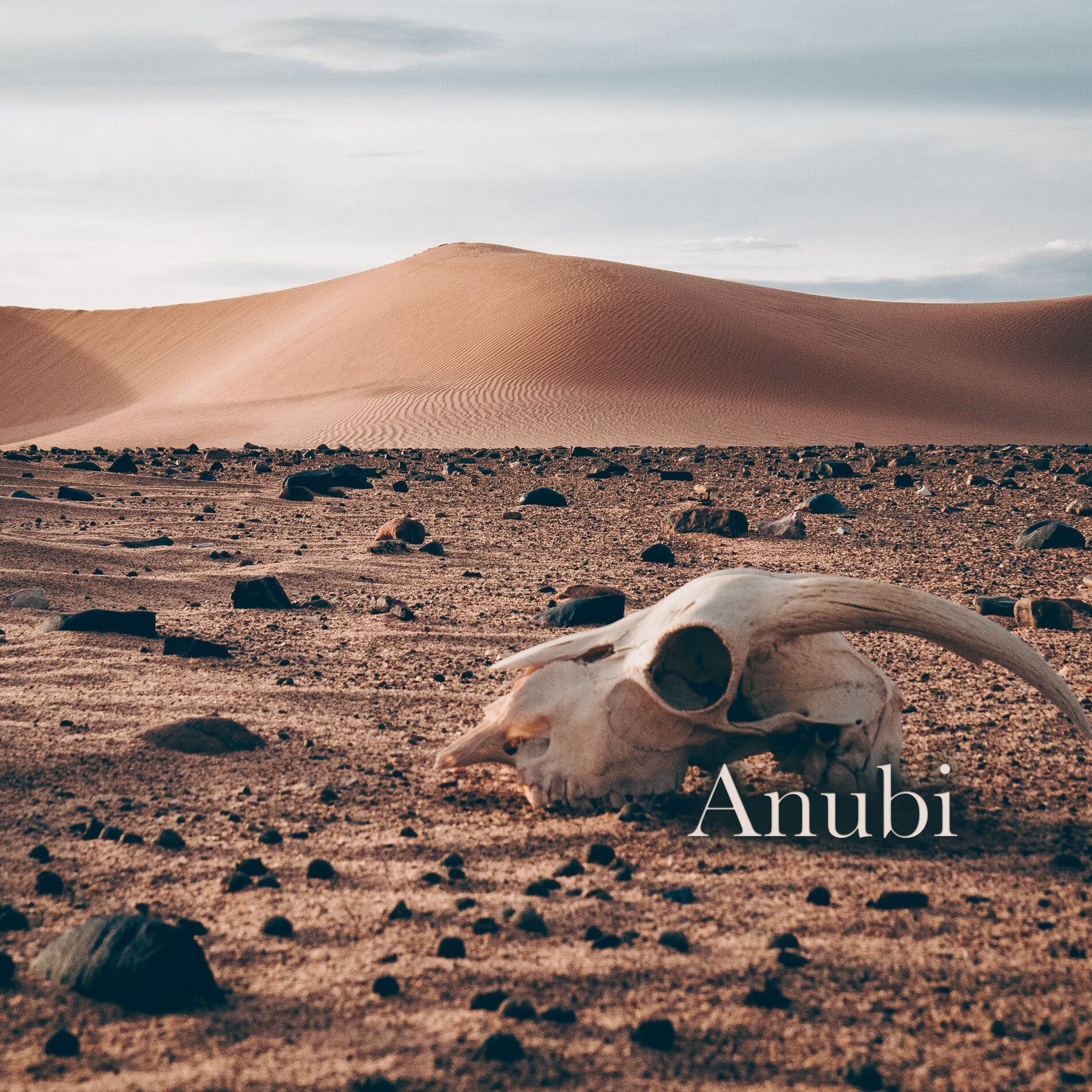 Album cover of Anubi