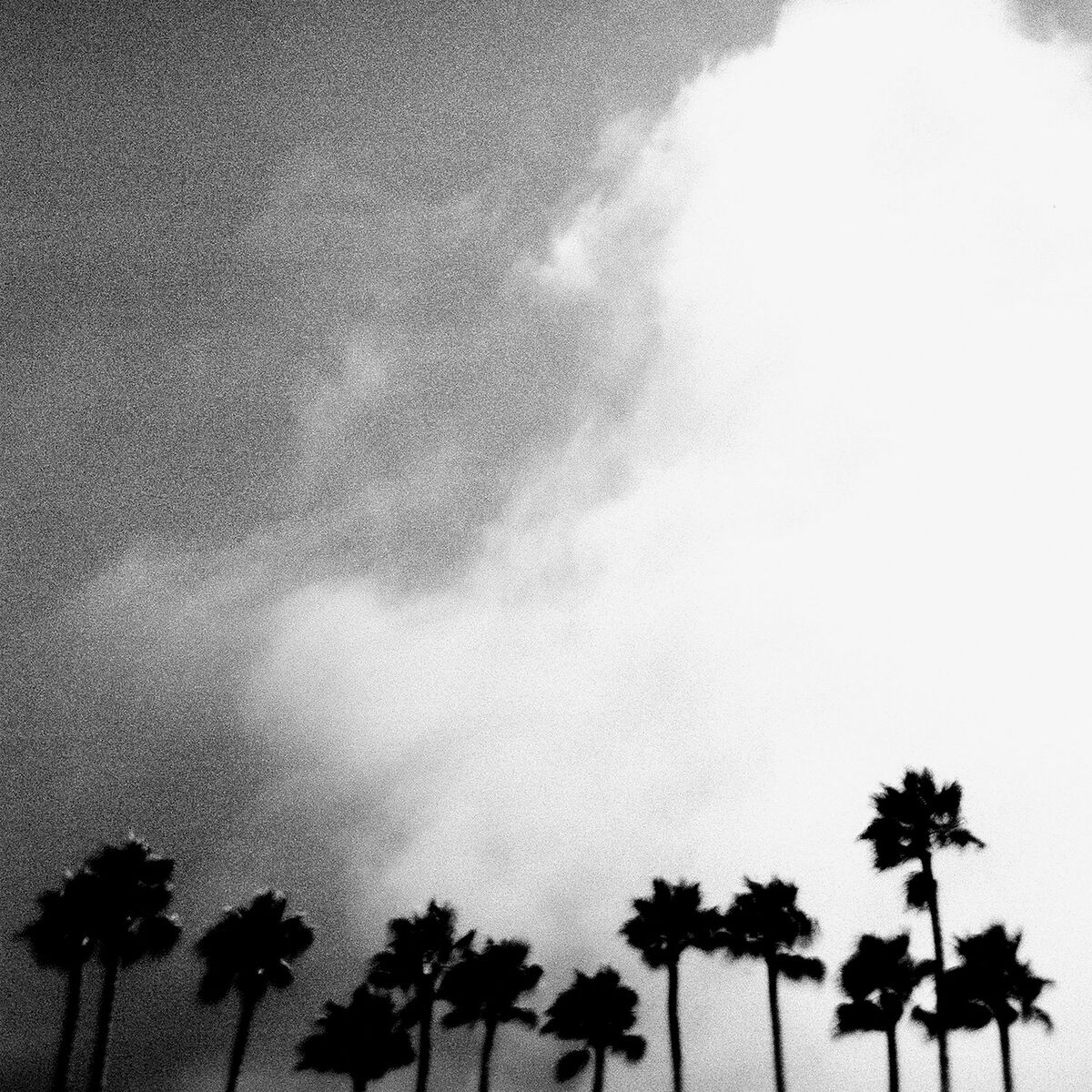 Album cover of Radiation Breeze