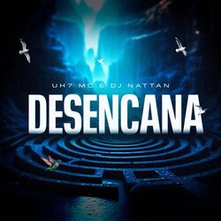 Cover of Desencana