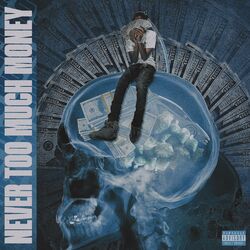 Cover of Never To Much Money