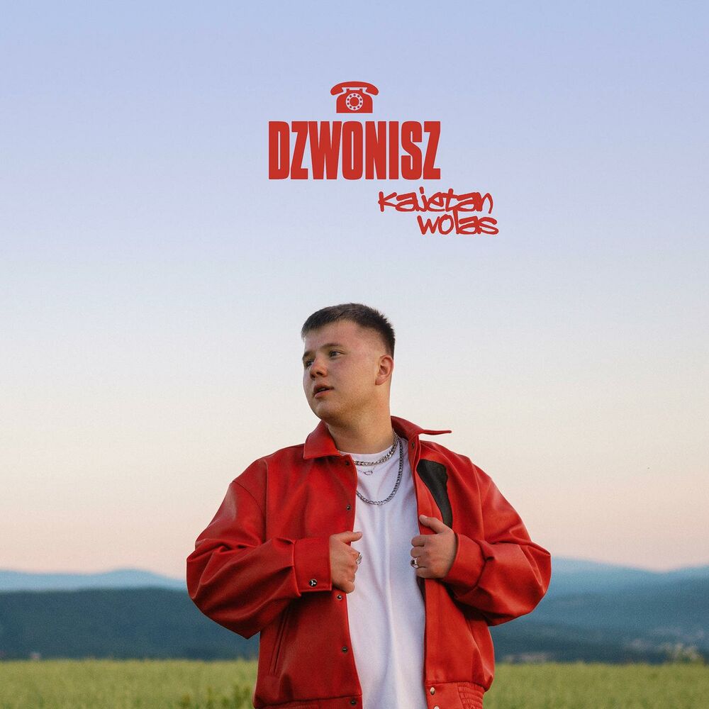 Picture of Dzwonisz