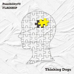 Cover of Possibility / FLAGSHIP