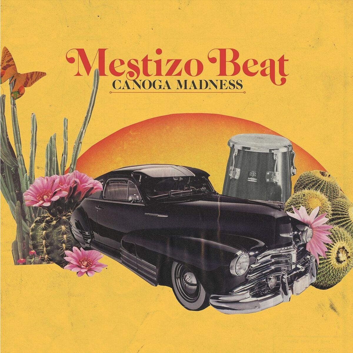 Album cover of Canoga Madness