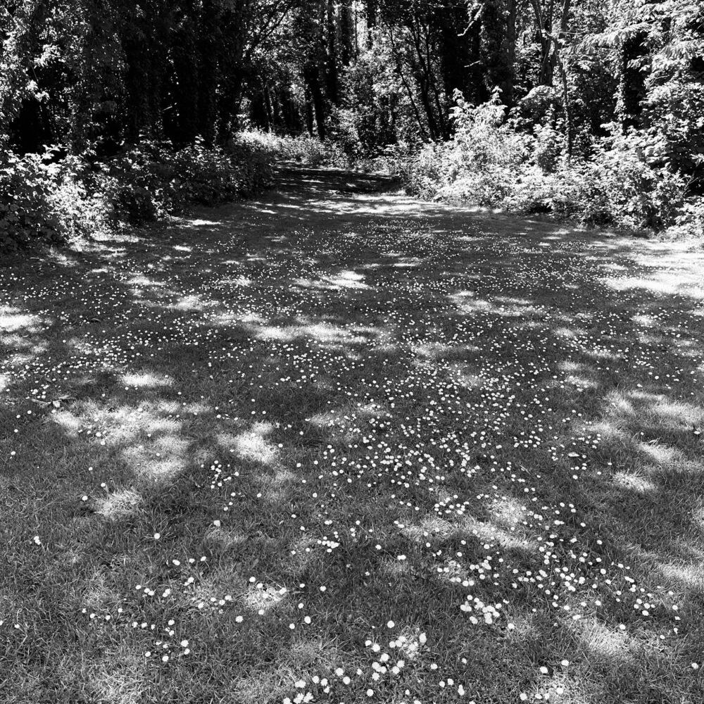 Picture of Road to Nowhere