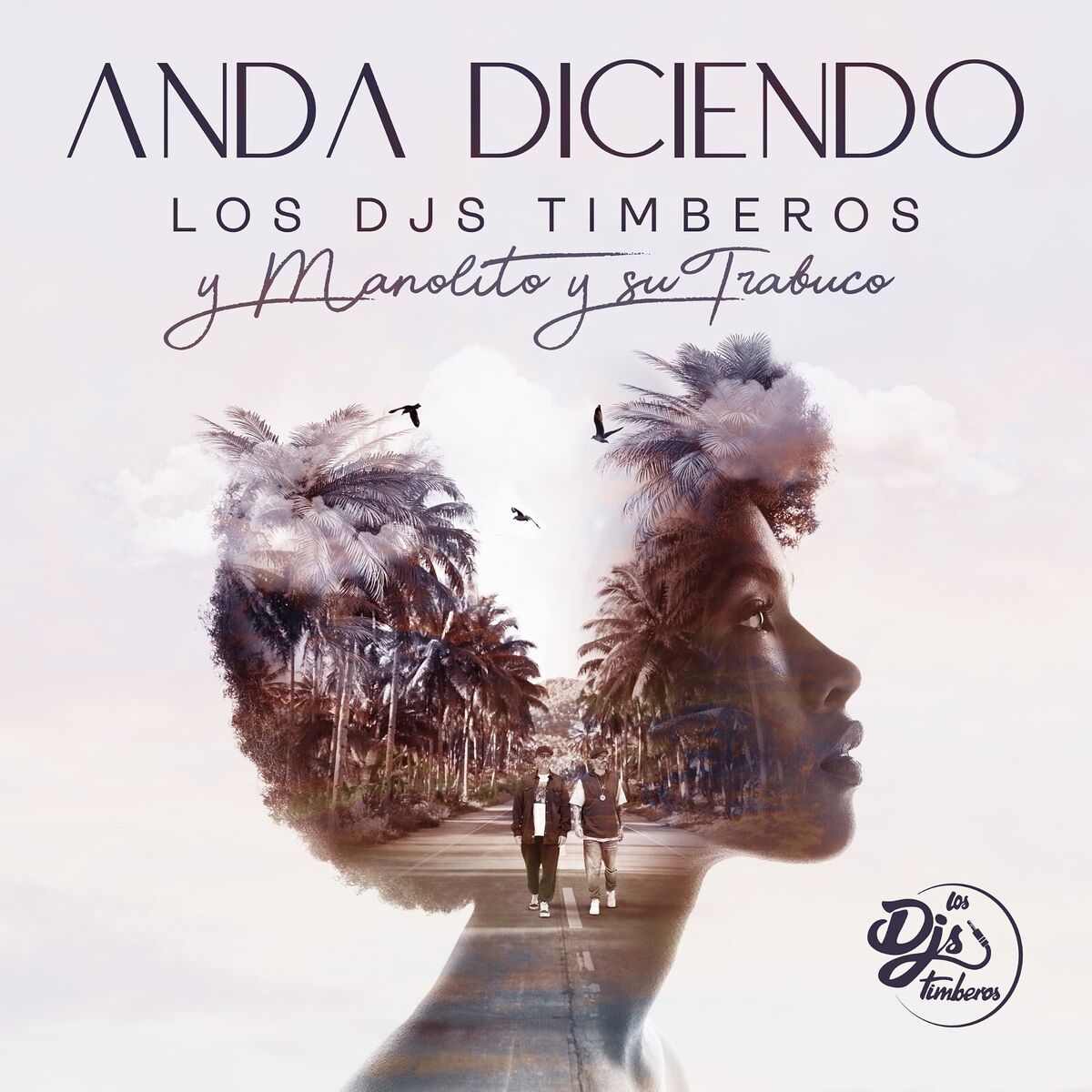 Album cover of Anda Diciendo